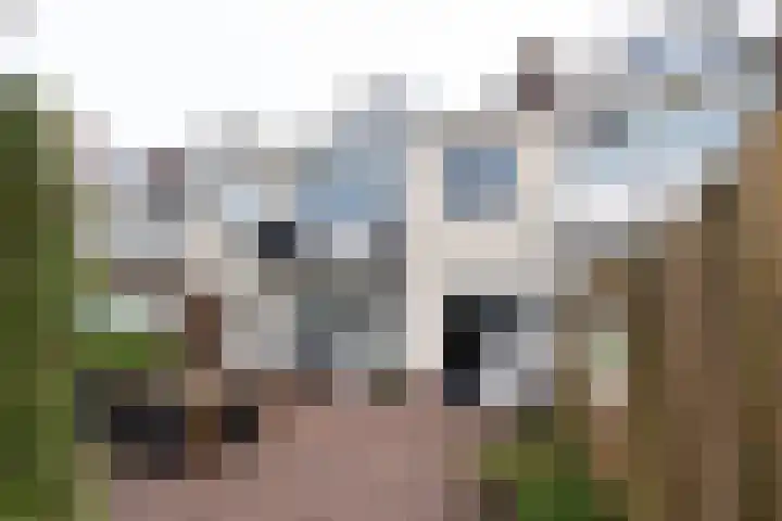 Anna Paulownalaan 7 Naarden thumbnail 18
