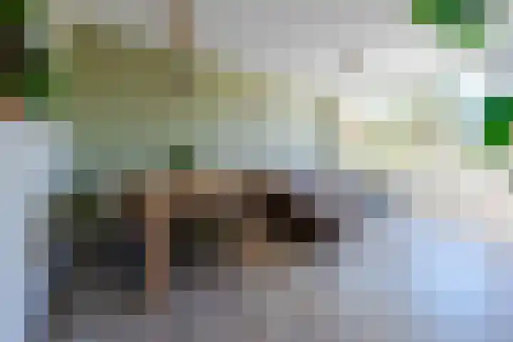 Anna Paulownalaan 83 Zeist thumbnail 10