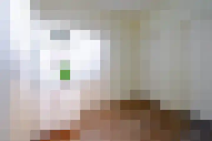 Anna Paulownalaan 83 Zeist thumbnail 14