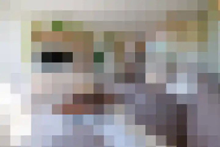 Anna Paulownalaan 83 Zeist thumbnail 6