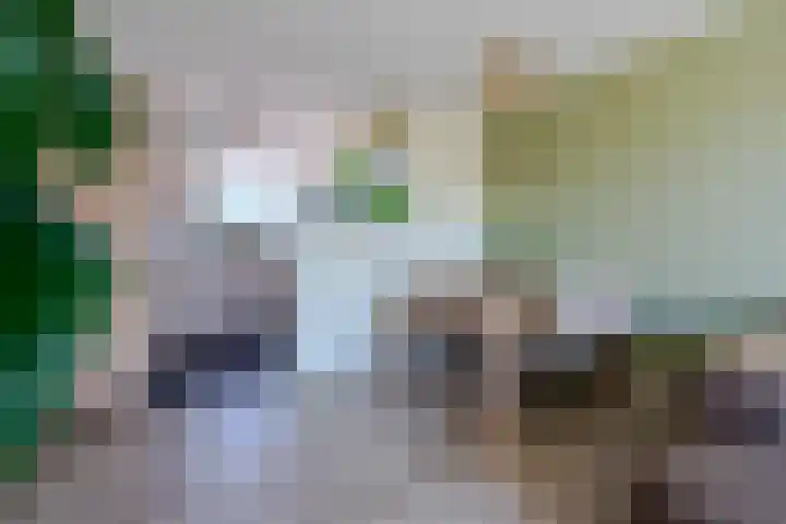 Anna Paulownalaan 83 Zeist thumbnail 9