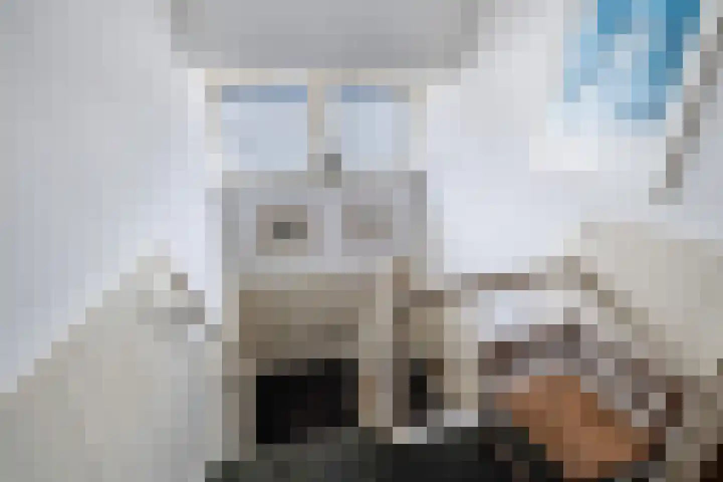 Anna Paulownalaan 9 Soest thumbnail 11