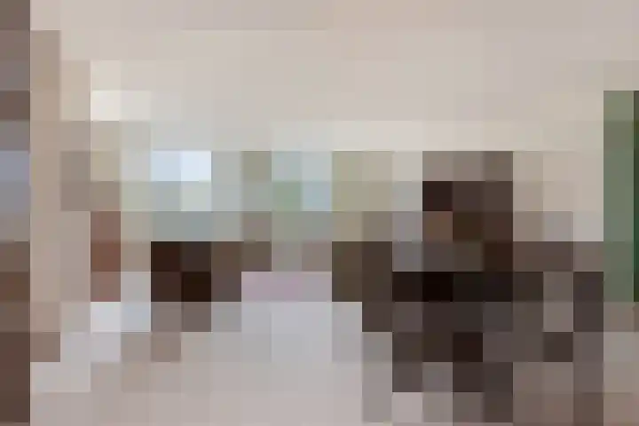 Anna Paulownaplein 15 Goes thumbnail 10
