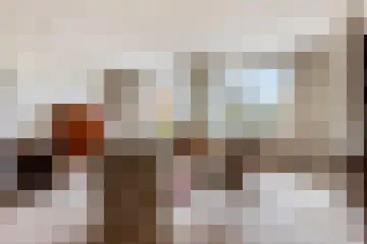 Anna Paulownaplein 15 Goes thumbnail 12