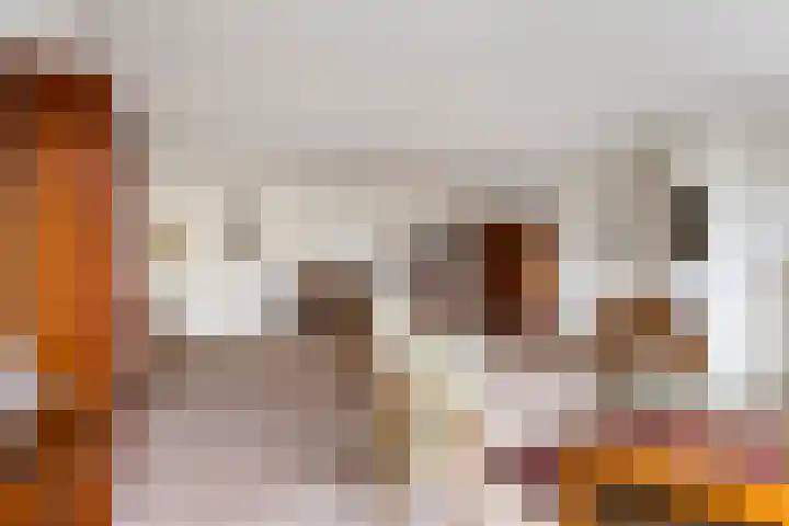 Anna Paulownaplein 15 Goes thumbnail 13