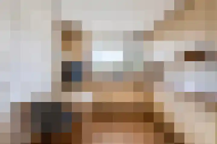 Anna Paulownaplein 15 Goes thumbnail 16