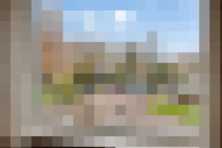 Anna Paulownaplein 15 Goes thumbnail 19