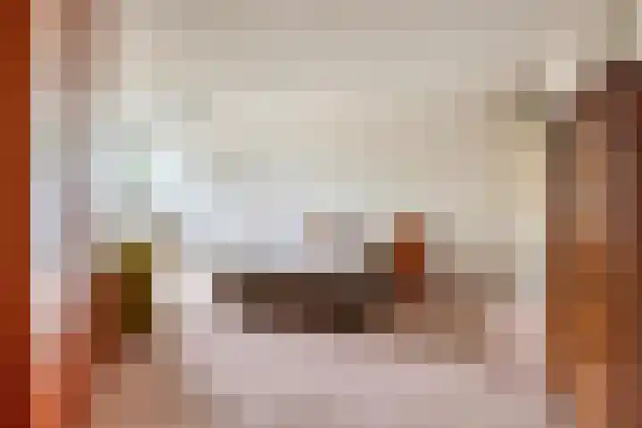 Anna Paulownaplein 15 Goes thumbnail 20