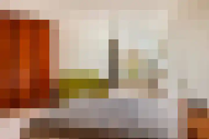 Anna Paulownaplein 15 Goes thumbnail 21