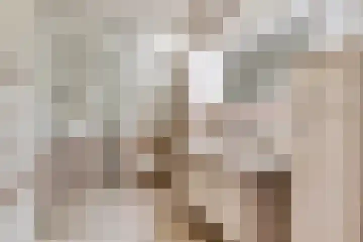 Anna Paulownaplein 15 Goes thumbnail 23