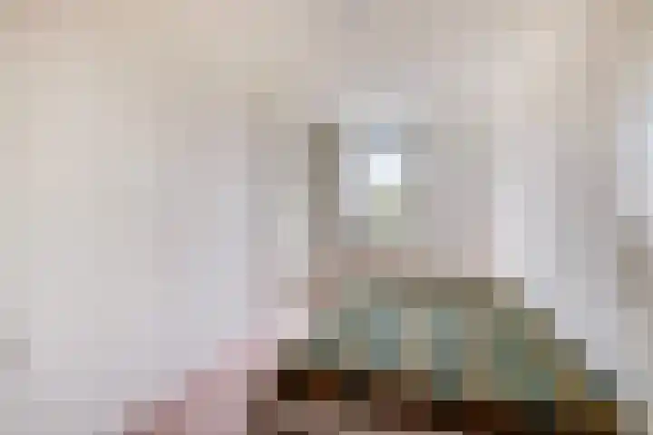 Anna Paulownaplein 15 Goes thumbnail 26