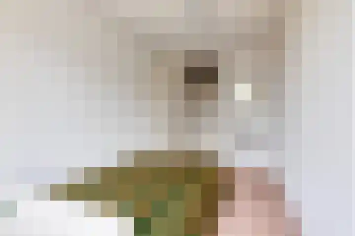 Anna Paulownaplein 15 Goes thumbnail 27