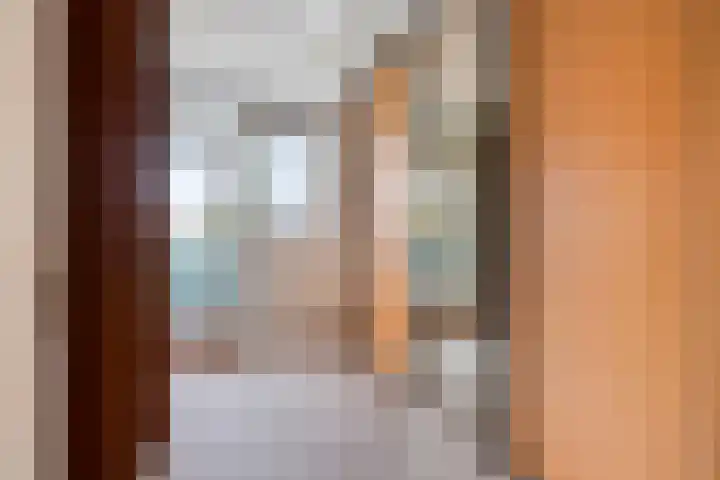 Anna Paulownaplein 15 Goes thumbnail 28