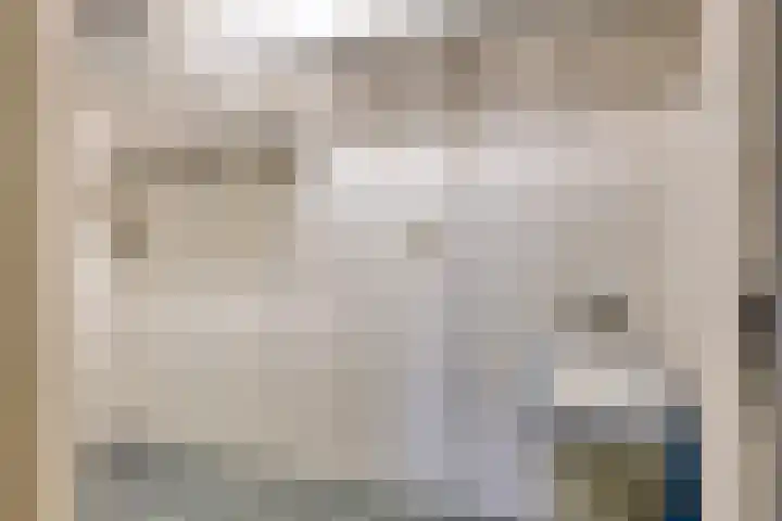 Anna Paulownaplein 15 Goes thumbnail 30