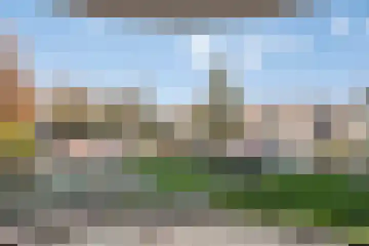 Anna Paulownaplein 15 Goes thumbnail 33