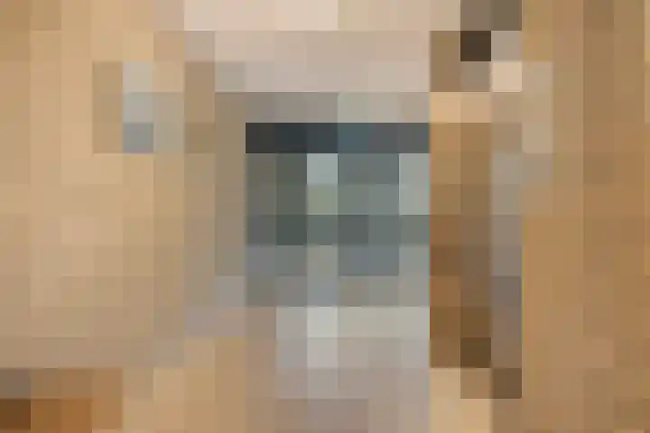 Anna Paulownaplein 15 Goes thumbnail 37