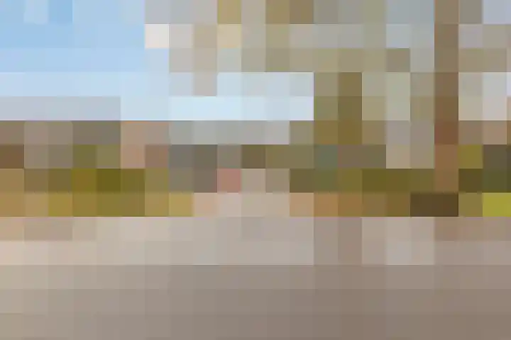 Anna Paulownaplein 15 Goes thumbnail 38