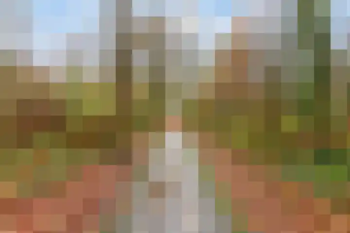 Anna Paulownaplein 15 Goes thumbnail 39