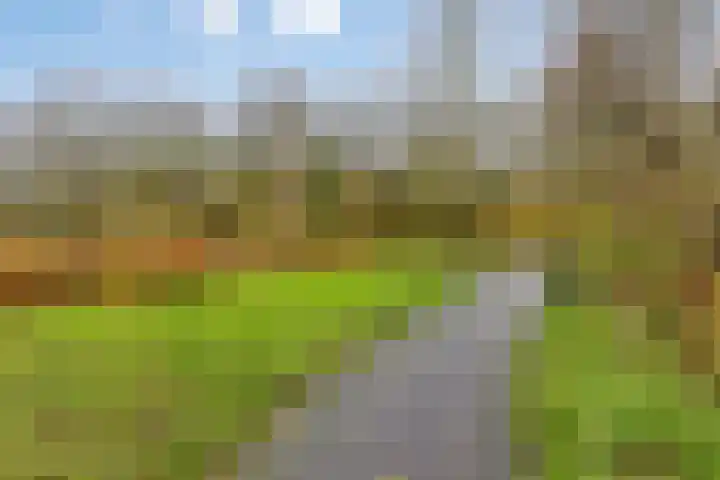 Anna Paulownaplein 15 Goes thumbnail 40