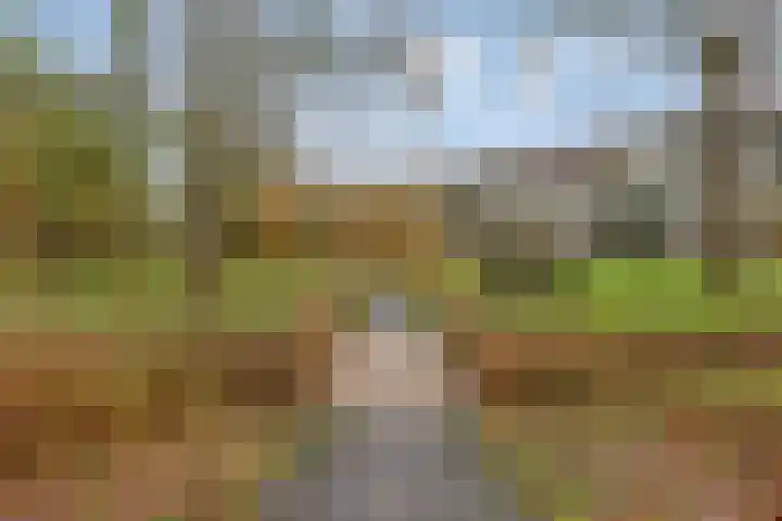 Anna Paulownaplein 15 Goes thumbnail 41