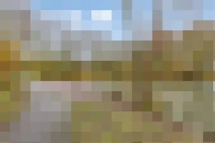 Anna Paulownaplein 15 Goes thumbnail 42