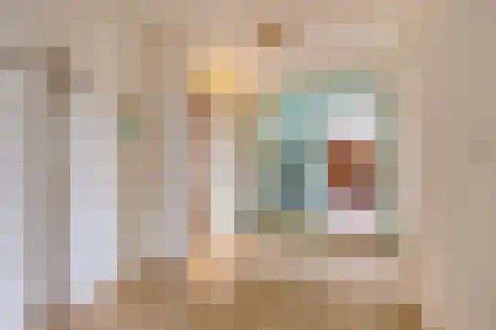 Anna Paulownaplein 15 Goes thumbnail 6