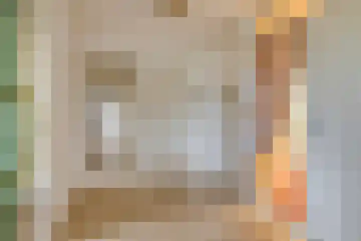 Anna Paulownaplein 15 Goes thumbnail 7