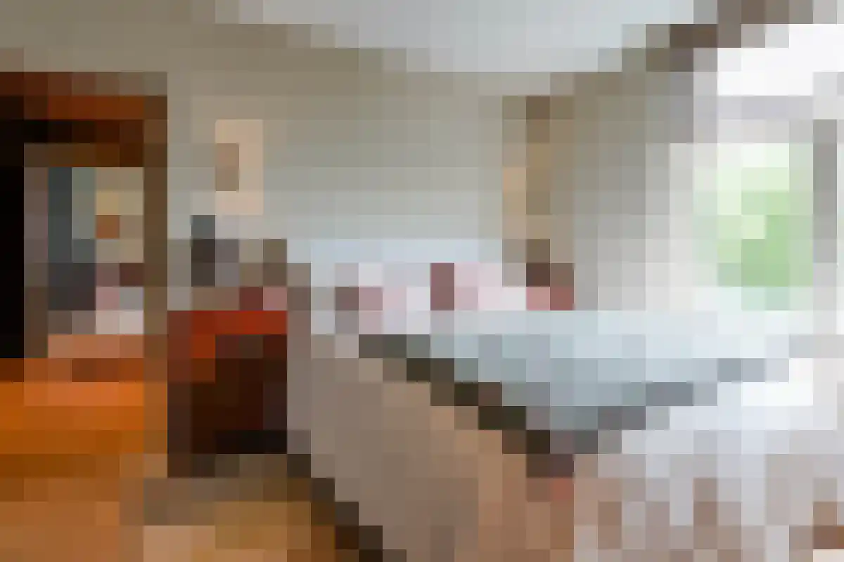 Anna Paulownaplein 2 B Den Haag thumbnail 4