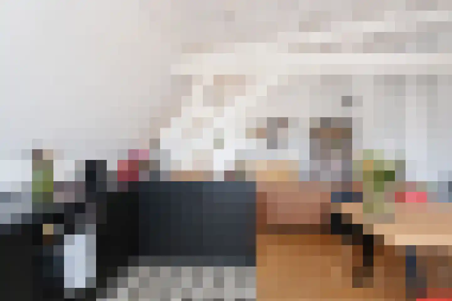 Anna Paulownaplein 2 C Den Haag thumbnail 10