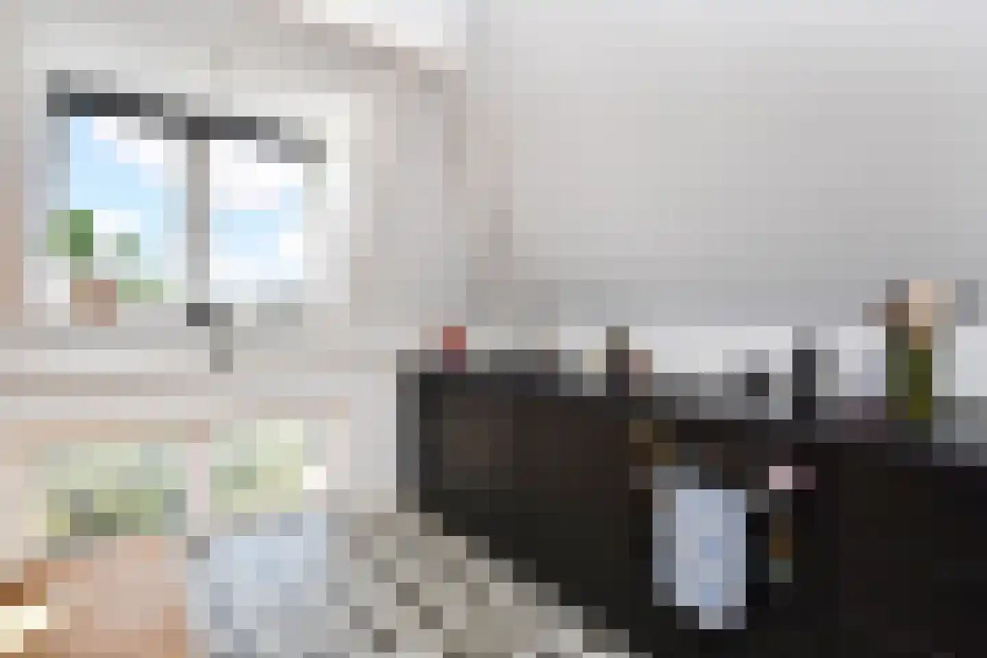 Anna Paulownaplein 2 C Den Haag thumbnail 11