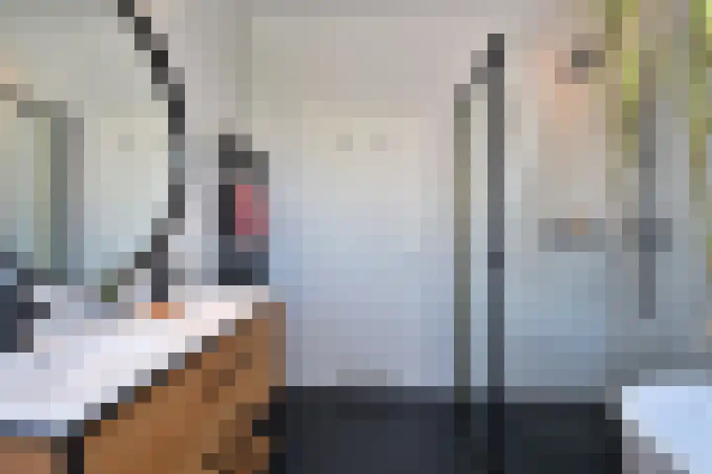 Anna Paulownaplein 2 C Den Haag thumbnail 19
