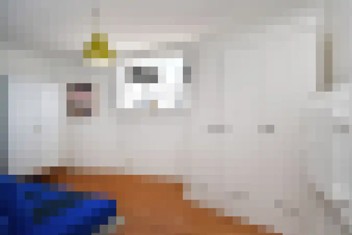 Anna Paulownaplein 2 C Den Haag thumbnail 21