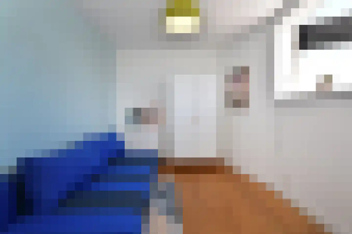 Anna Paulownaplein 2 C Den Haag thumbnail 22