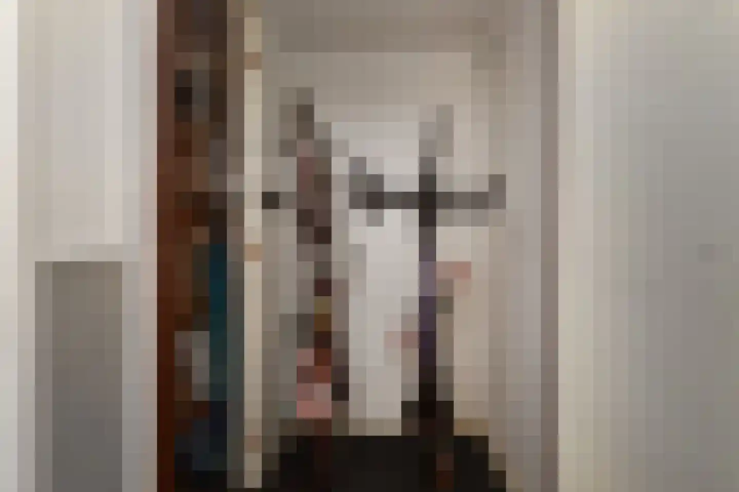Anna Paulownaplein 2 C Den Haag thumbnail 24
