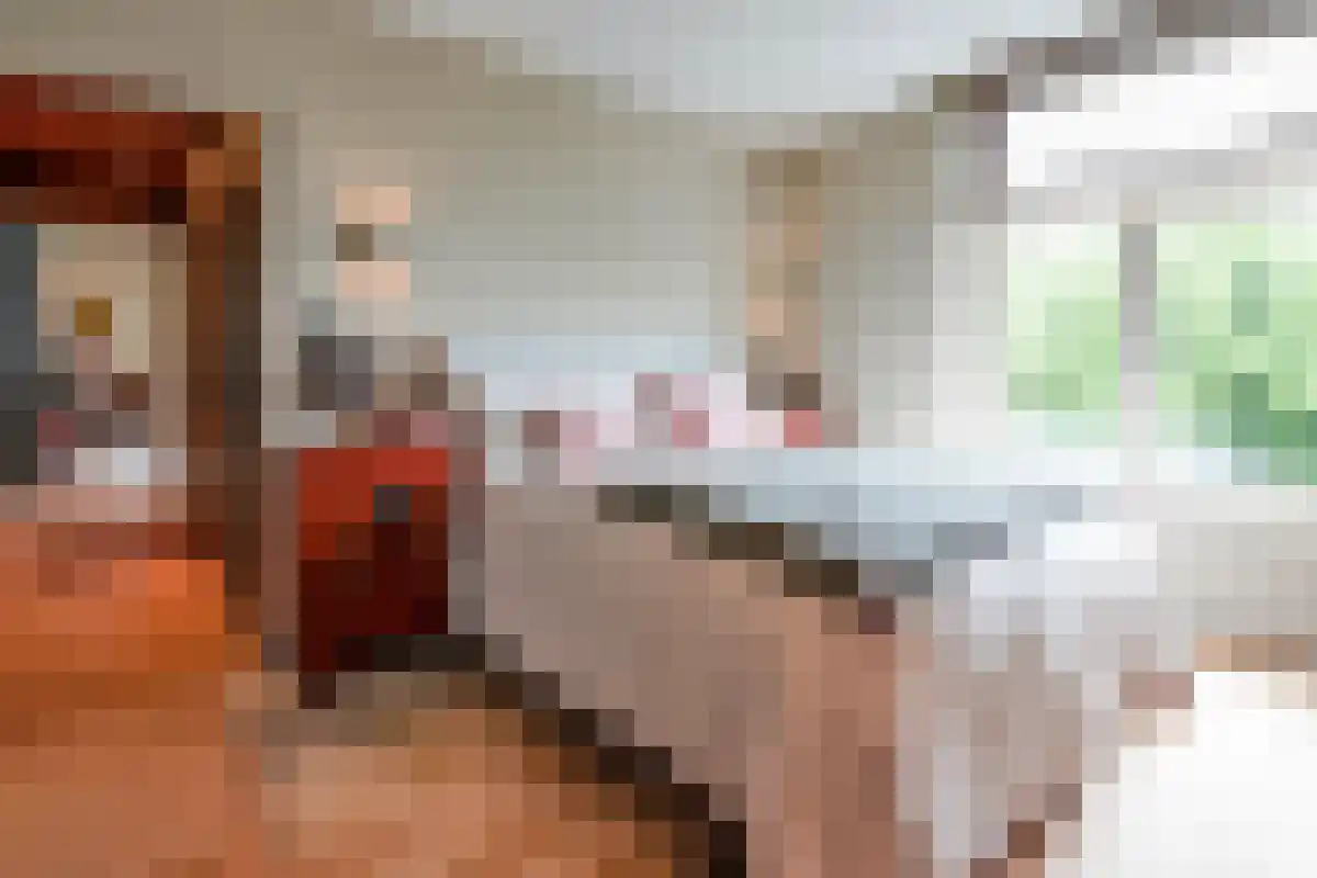 Anna Paulownaplein 2 C Den Haag thumbnail 5