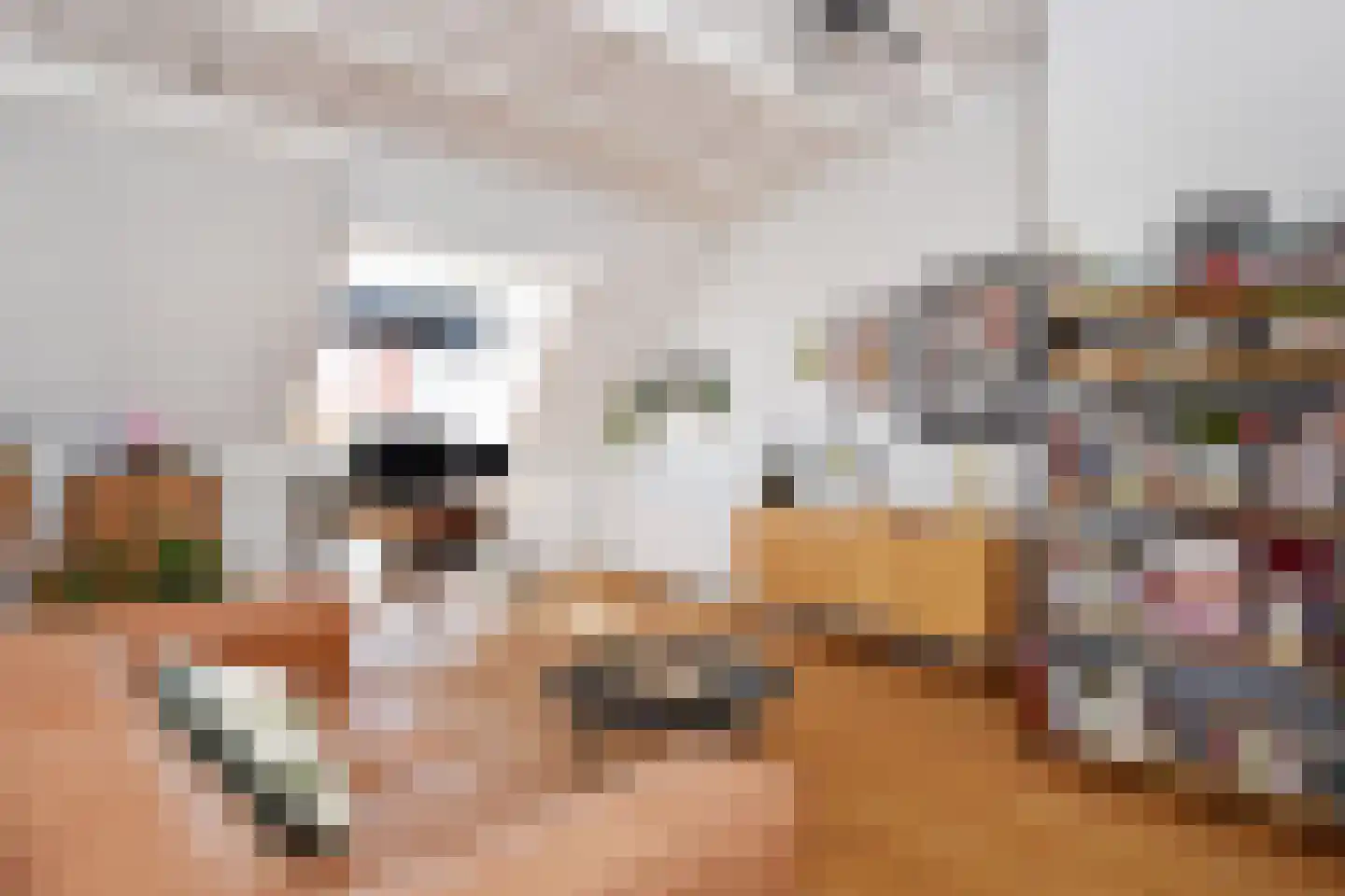 Anna Paulownaplein 2 C Den Haag thumbnail 5
