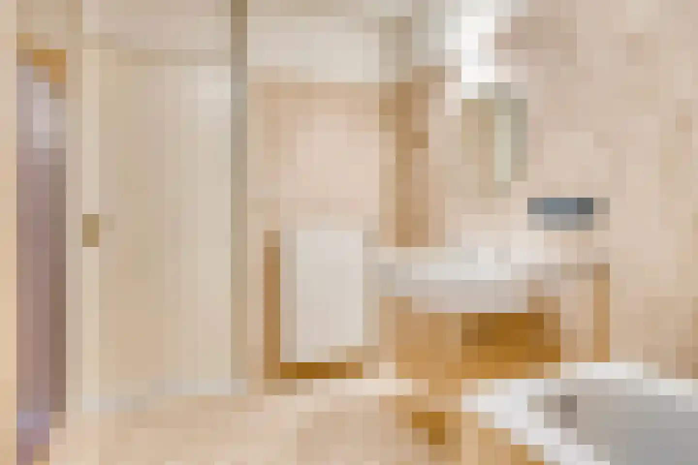Anna Paulownaplein 23 Goes thumbnail 17