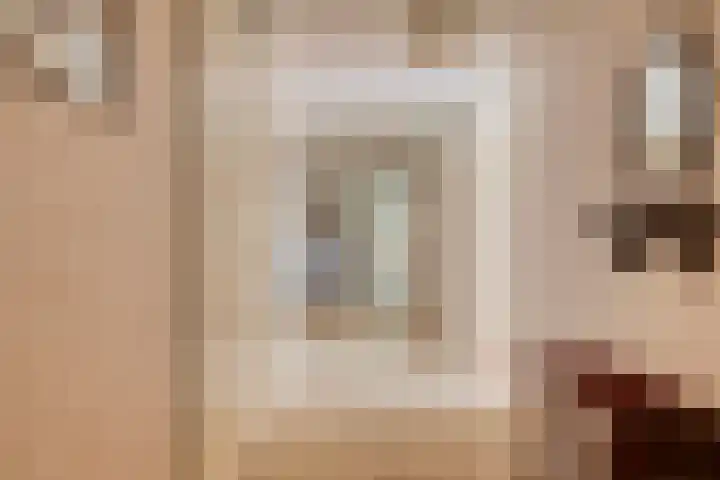 Anna Paulownaplein 27 Goes thumbnail 10