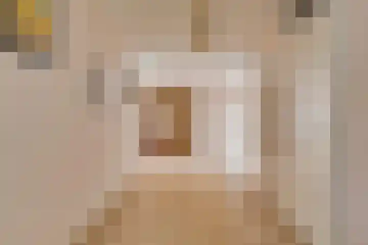 Anna Paulownaplein 27 Goes thumbnail 11