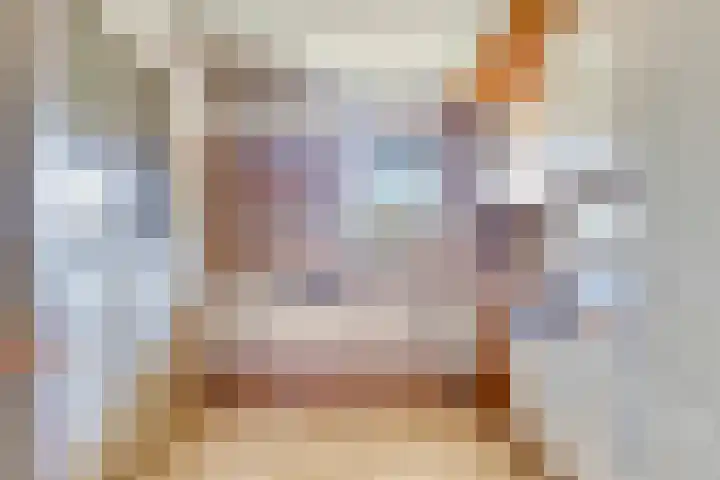 Anna Paulownaplein 27 Goes thumbnail 18