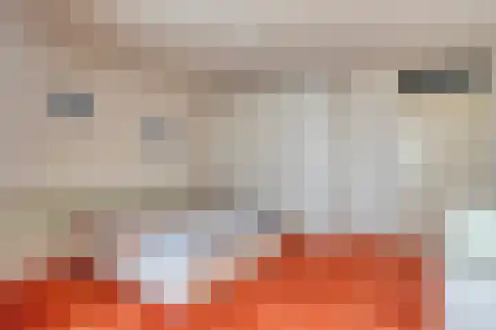 Anna Paulownaplein 27 Goes thumbnail 21