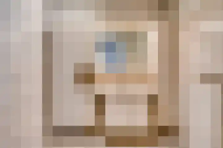 Anna Paulownaplein 27 Goes thumbnail 22