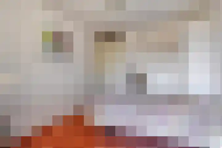 Anna Paulownaplein 27 Goes thumbnail 26