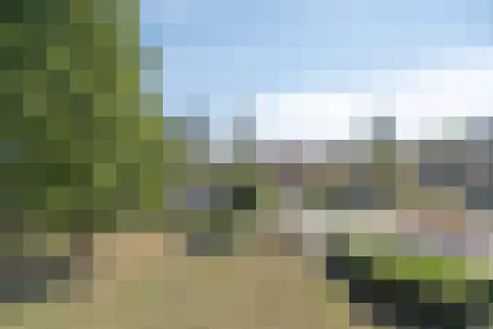 Anna Paulownaplein 27 Goes thumbnail 30
