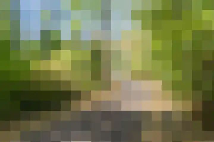 Anna Paulownaplein 27 Goes thumbnail 32