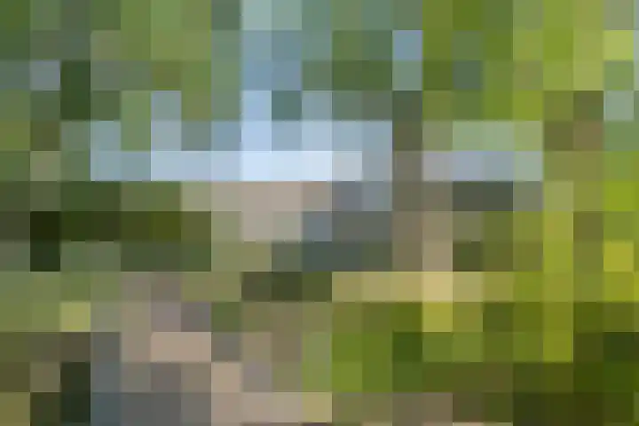 Anna Paulownaplein 27 Goes thumbnail 33