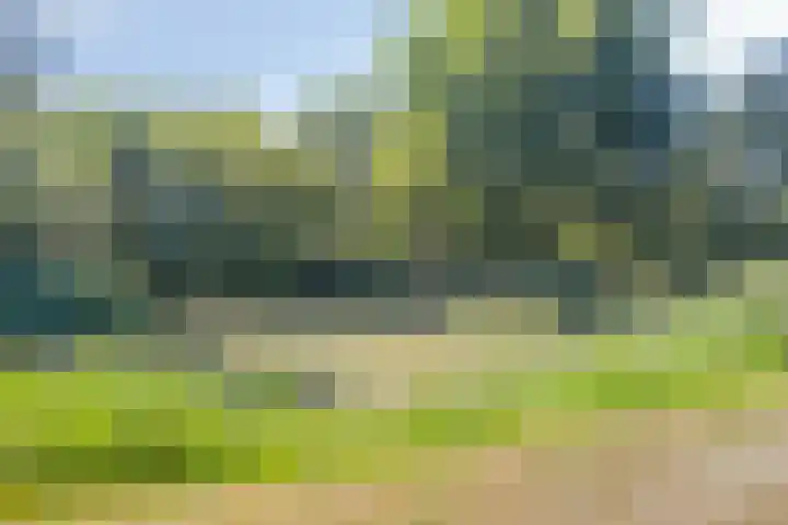 Anna Paulownaplein 27 Goes thumbnail 34