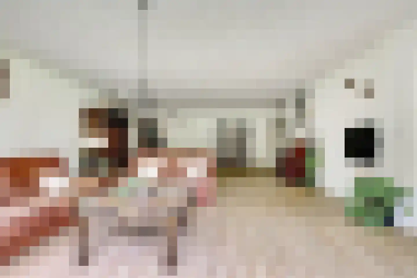 Anna Paulownaplein 6 Goes thumbnail 11
