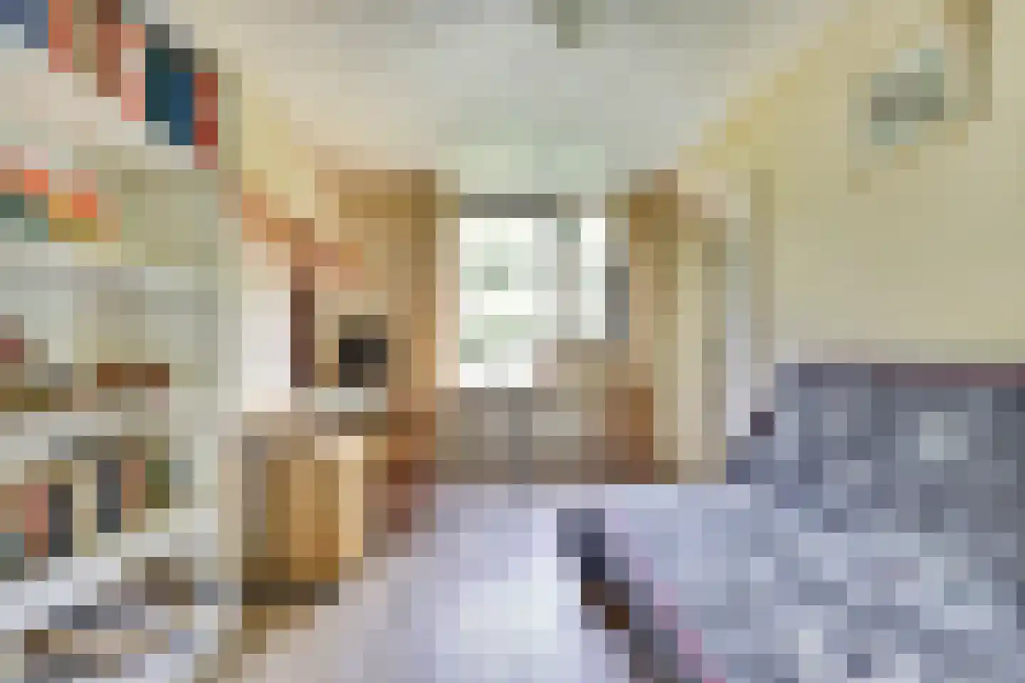 Anna Paulownaplein 6 Goes thumbnail 19
