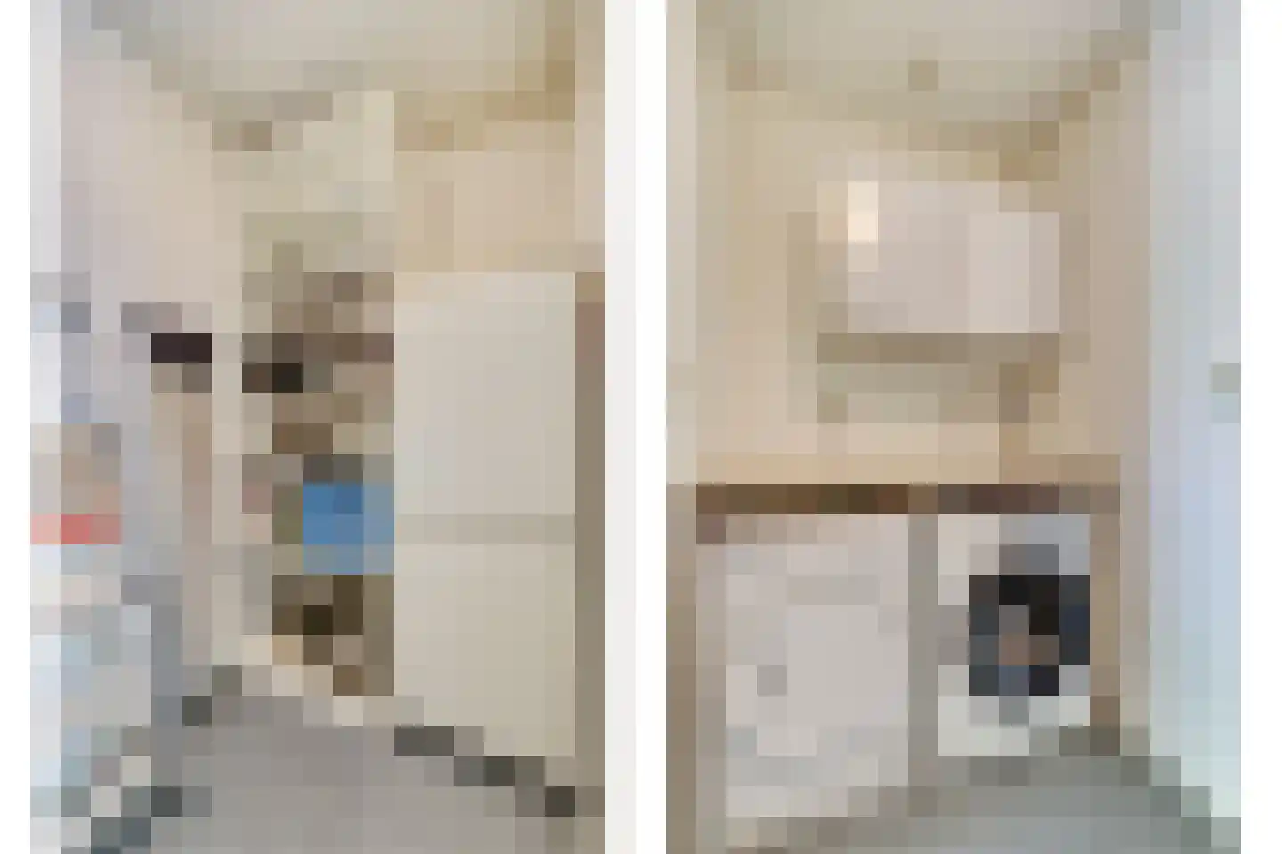 Anna Paulownaplein 6 Goes thumbnail 22